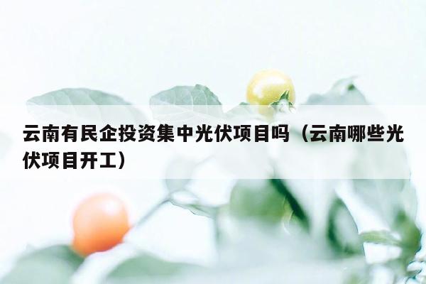 云南有民企投资集中光伏项目吗（云南哪些光伏项目开工）