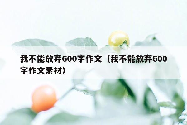 我不能放弃600字作文（我不能放弃600字作文素材）