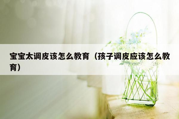 宝宝太调皮该怎么教育（孩子调皮应该怎么教育）