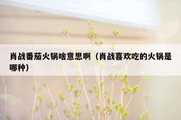 肖战番茄火锅啥意思啊（肖战喜欢吃的火锅是哪种）