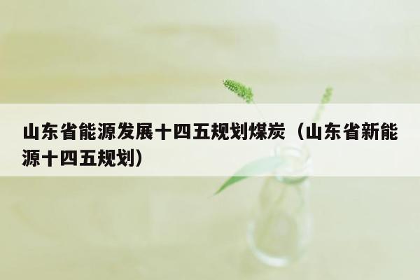 山东省能源发展十四五规划煤炭（山东省新能源十四五规划）