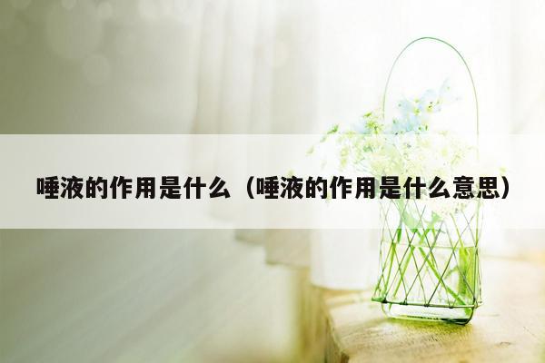 唾液的作用是什么（唾液的作用是什么意思）