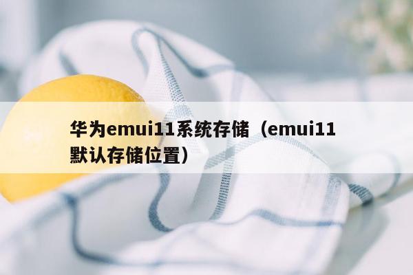 华为emui11系统存储（emui11 默认存储位置）