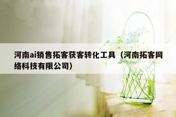 河南ai销售拓客获客转化工具（河南拓客网络科技有限公司）