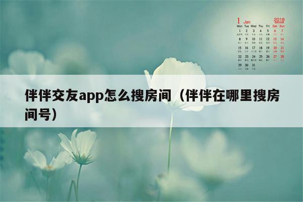 伴伴交友app怎么搜房间（伴伴在哪里搜房间号）