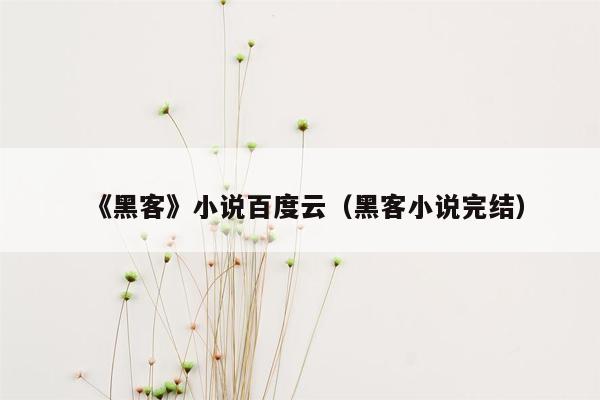 《黑客》小说百度云（黑客小说完结）