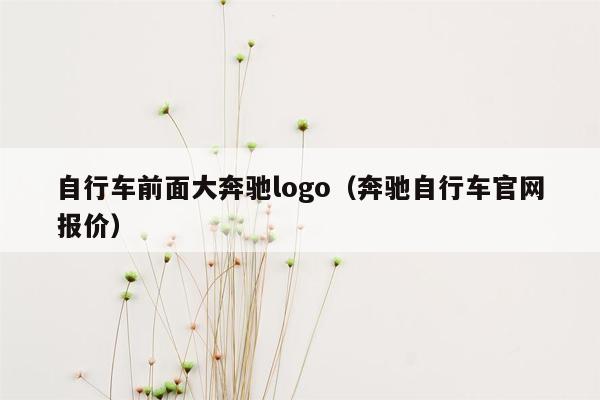 自行车前面大奔驰logo（奔驰自行车官网报价）