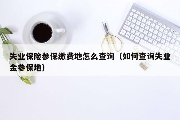 失业保险参保缴费地怎么查询（如何查询失业金参保地）