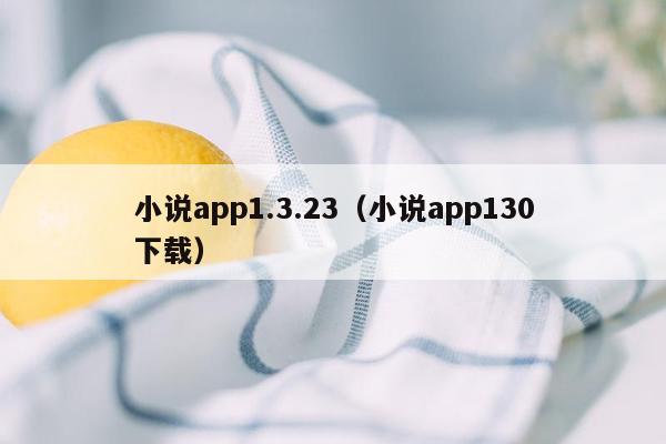 小说app1.3.23（小说app130下载）