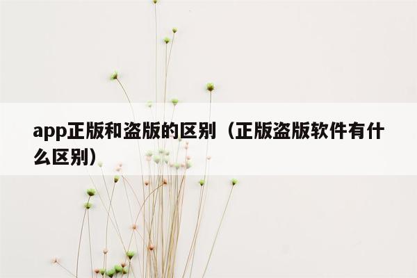 app正版和盗版的区别（正版盗版软件有什么区别）