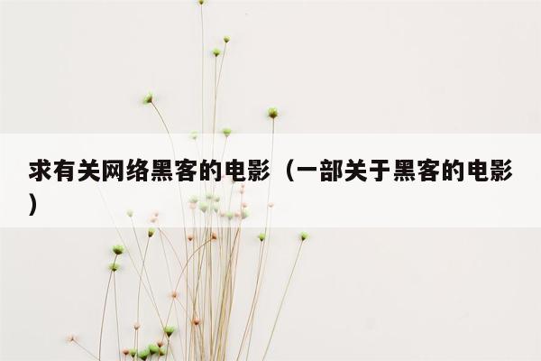 求有关网络黑客的电影（一部关于黑客的电影）