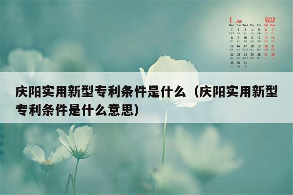 庆阳实用新型专利条件是什么（庆阳实用新型专利条件是什么意思）