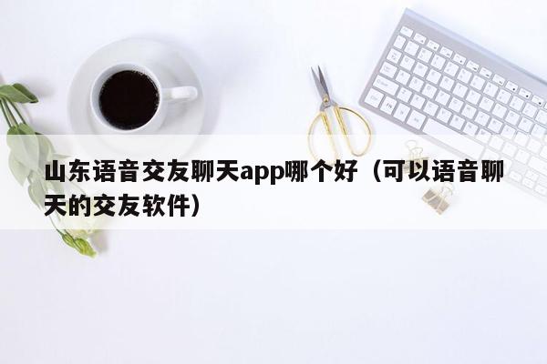 山东语音交友聊天app哪个好（可以语音聊天的交友软件）