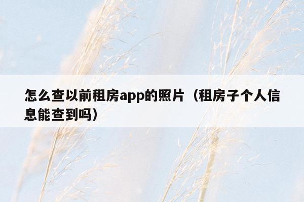 怎么查以前租房app的照片（租房子个人信息能查到吗）