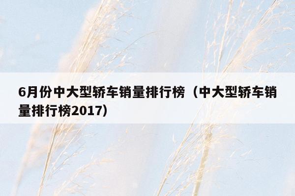 6月份中大型轿车销量排行榜（中大型轿车销量排行榜2017）