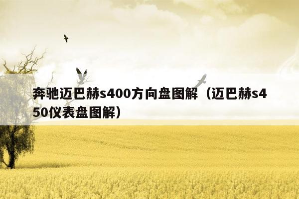 奔驰迈巴赫s400方向盘图解（迈巴赫s450仪表盘图解）