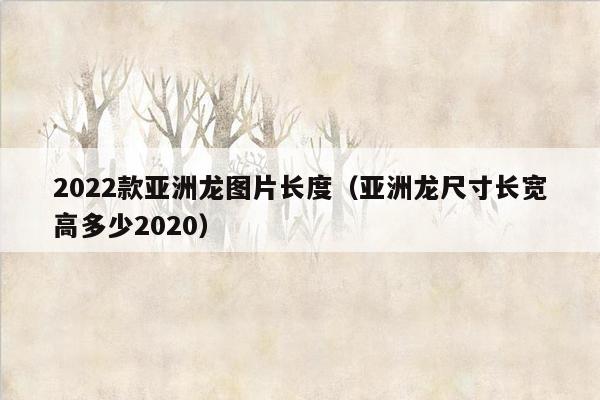 2022款亚洲龙图片长度（亚洲龙尺寸长宽高多少2020）