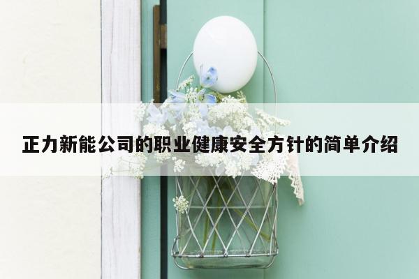 正力新能公司的职业健康安全方针的简单介绍