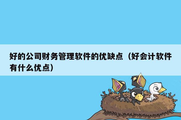 好的公司财务管理软件的优缺点（好会计软件有什么优点）