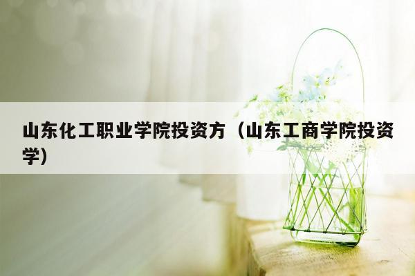 山东化工职业学院投资方（山东工商学院投资学）