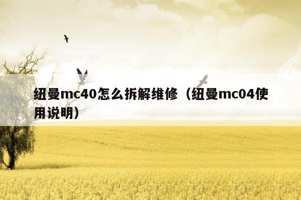 纽曼mc40怎么拆解维修（纽曼mc04使用说明）