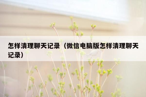 怎样清理聊天记录（微信电脑版怎样清理聊天记录）