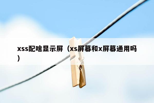 xss配啥显示屏（xs屏幕和x屏幕通用吗）