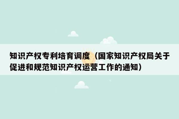 知识产权专利培育调度（国家知识产权局关于促进和规范知识产权运营工作的通知）