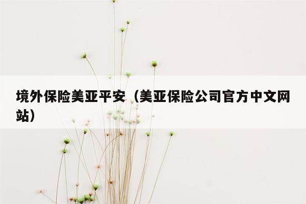 境外保险美亚平安（美亚保险公司官方中文网站）