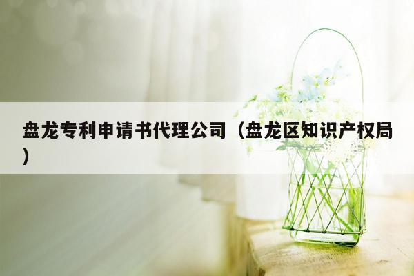 盘龙专利申请书代理公司（盘龙区知识产权局）