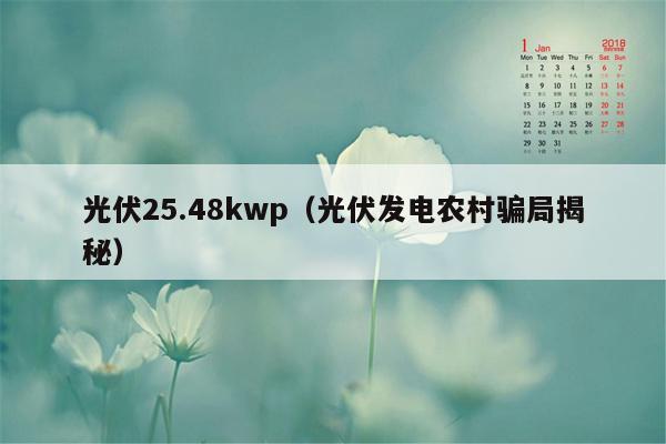 光伏25.48kwp（光伏发电农村骗局揭秘）