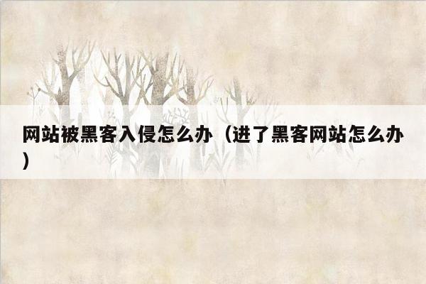 网站被黑客入侵怎么办（进了黑客网站怎么办）