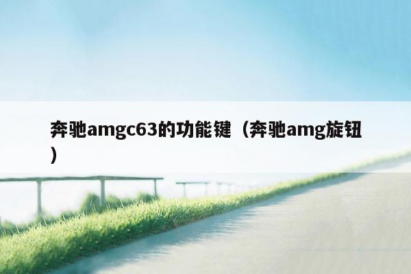 奔驰amgc63的功能键（奔驰amg旋钮）