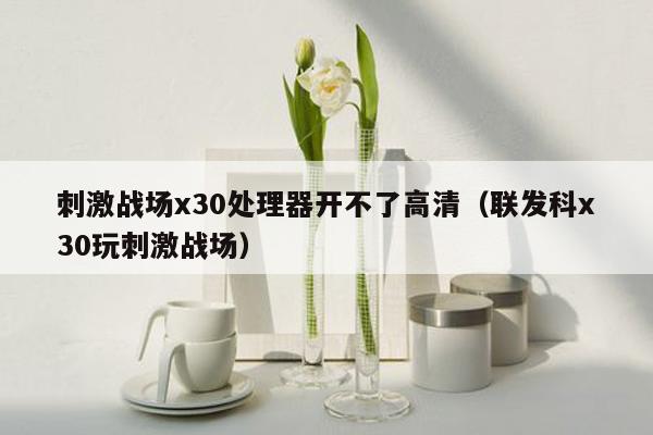 刺激战场x30处理器开不了高清（联发科x30玩刺激战场）