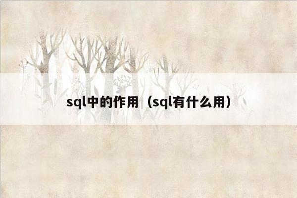 sql中的作用（sql有什么用）