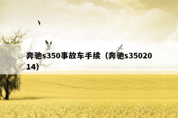 奔驰s350事故车手续（奔驰s3502014）