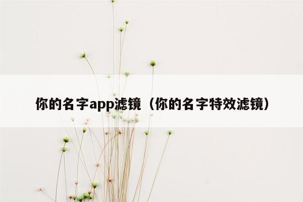 你的名字app滤镜（你的名字特效滤镜）