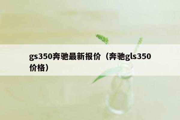 gs350奔驰最新报价（奔驰gls350价格）