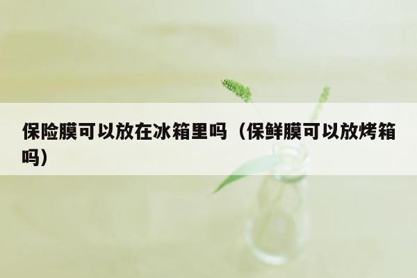 保险膜可以放在冰箱里吗（保鲜膜可以放烤箱吗）