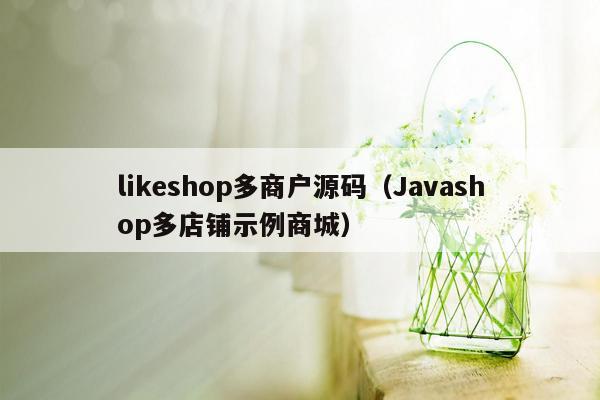 likeshop多商户源码（Javashop多店铺示例商城）