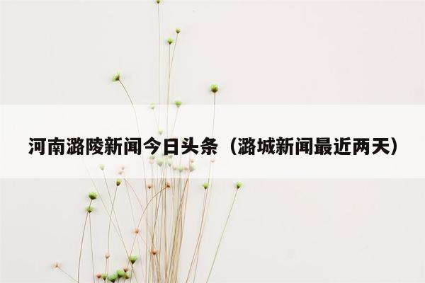 河南潞陵新闻今日头条（潞城新闻最近两天）