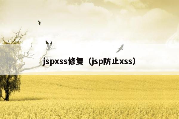 jspxss修复（jsp防止xss）