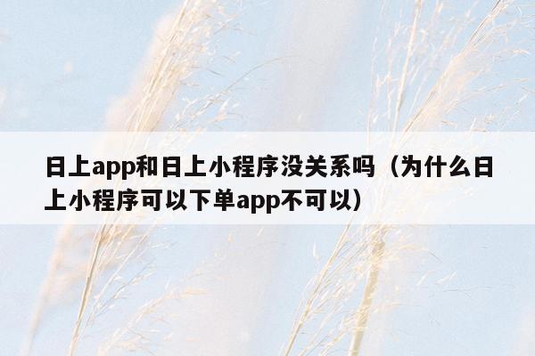 日上app和日上小程序没关系吗（为什么日上小程序可以下单app不可以）