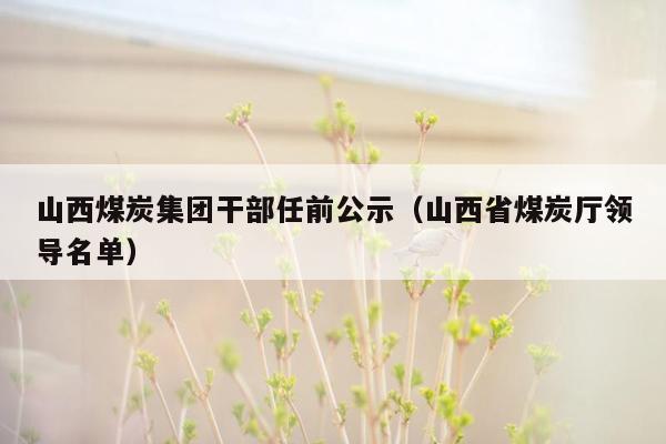 山西煤炭集团干部任前公示（山西省煤炭厅领导名单）