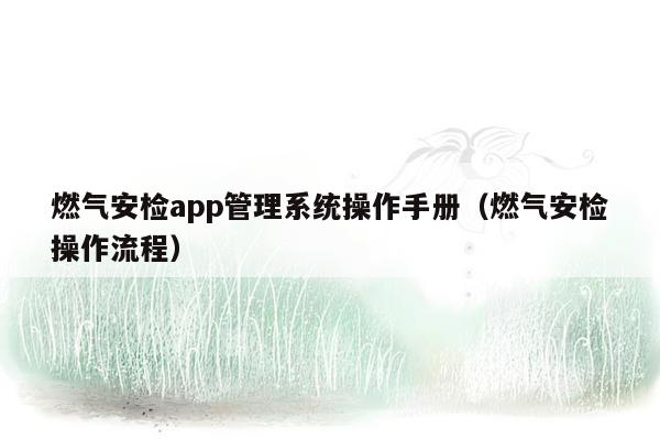 燃气安检app管理系统操作手册（燃气安检操作流程）