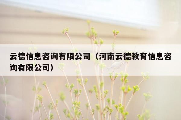 云德信息咨询有限公司（河南云德教育信息咨询有限公司）