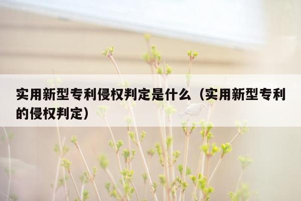 实用新型专利侵权判定是什么（实用新型专利的侵权判定）