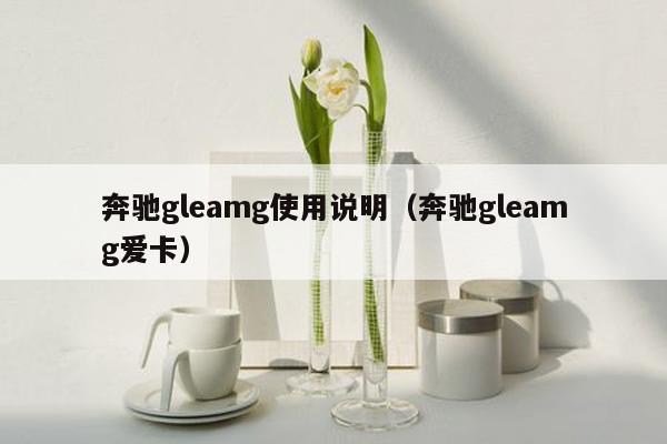 奔驰gleamg使用说明（奔驰gleamg爱卡）