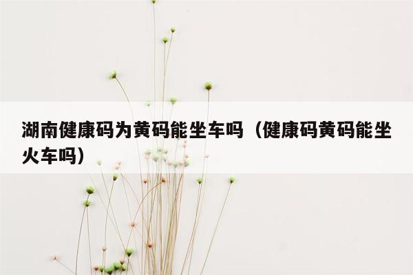 湖南健康码为黄码能坐车吗（健康码黄码能坐火车吗）