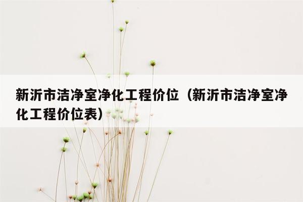 新沂市洁净室净化工程价位（新沂市洁净室净化工程价位表）